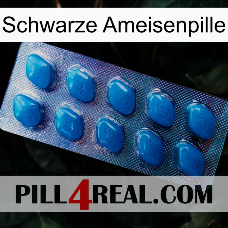 Black Ant Pill viagra1